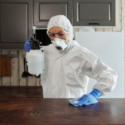 Pest control tips for maintaining a pest-free home