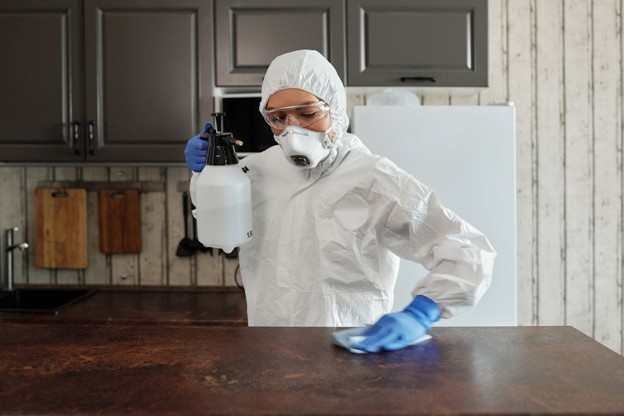 Pest control tips for maintaining a pest-free home