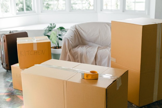 Pest-free home through decluttering and maintenance